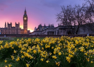 Post Election Results For Women's Representation in Parliament