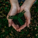 The shortlist for the inaugural 2024 Women in Green Business Awards
