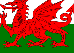 Accelerated Growth Programme In Wales